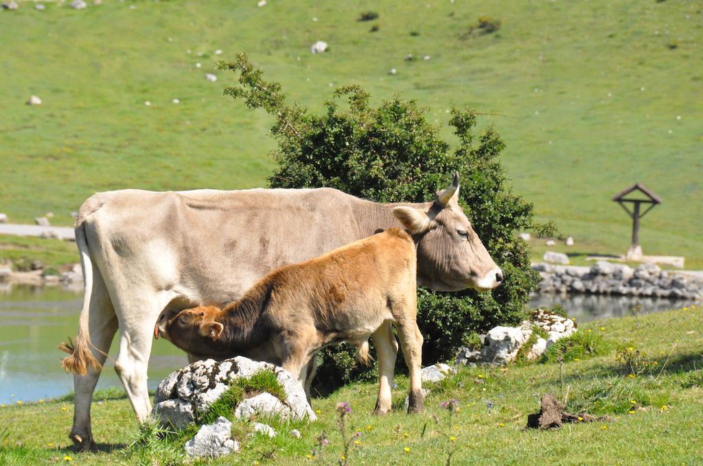 Casa Rural La Riba Sames Εξωτερικό φωτογραφία