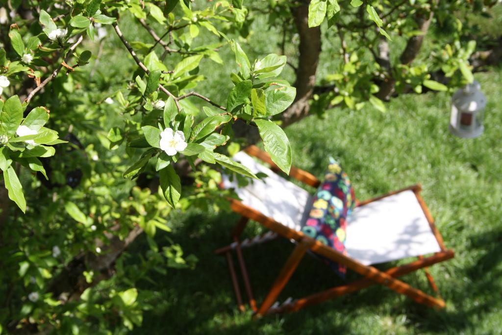 Casa Rural La Riba Sames Εξωτερικό φωτογραφία